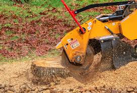 Best Tree Mulching  in Elton, LA